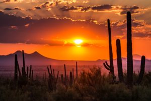 Arizona Unclaimed Funds